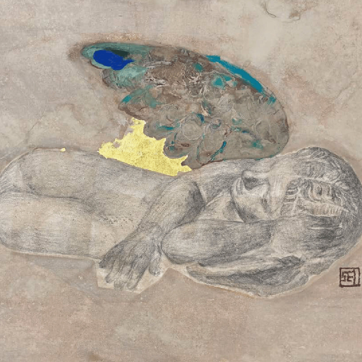 澁澤星