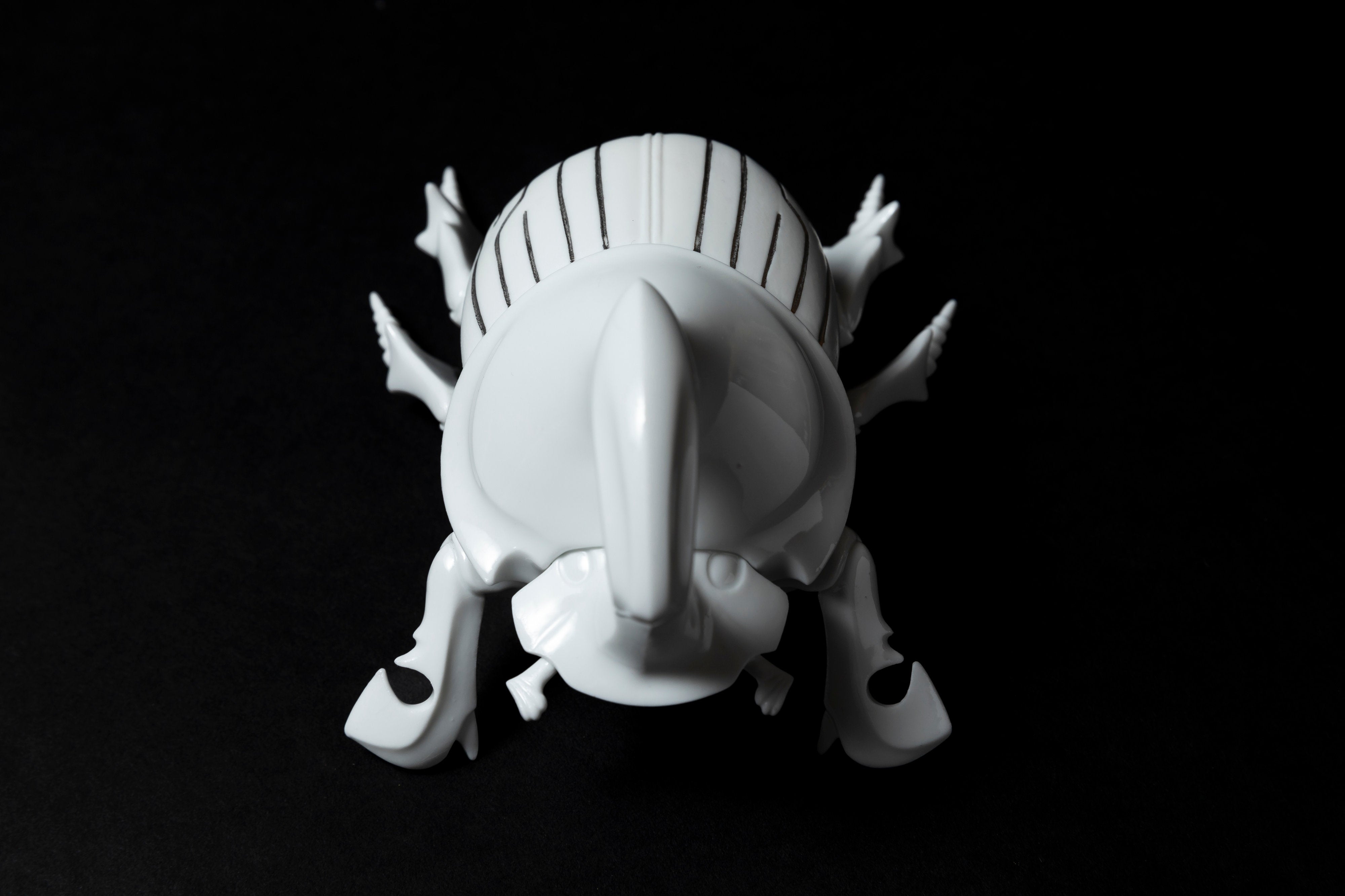 White Horned dung beetle P23 | 堀 貴春