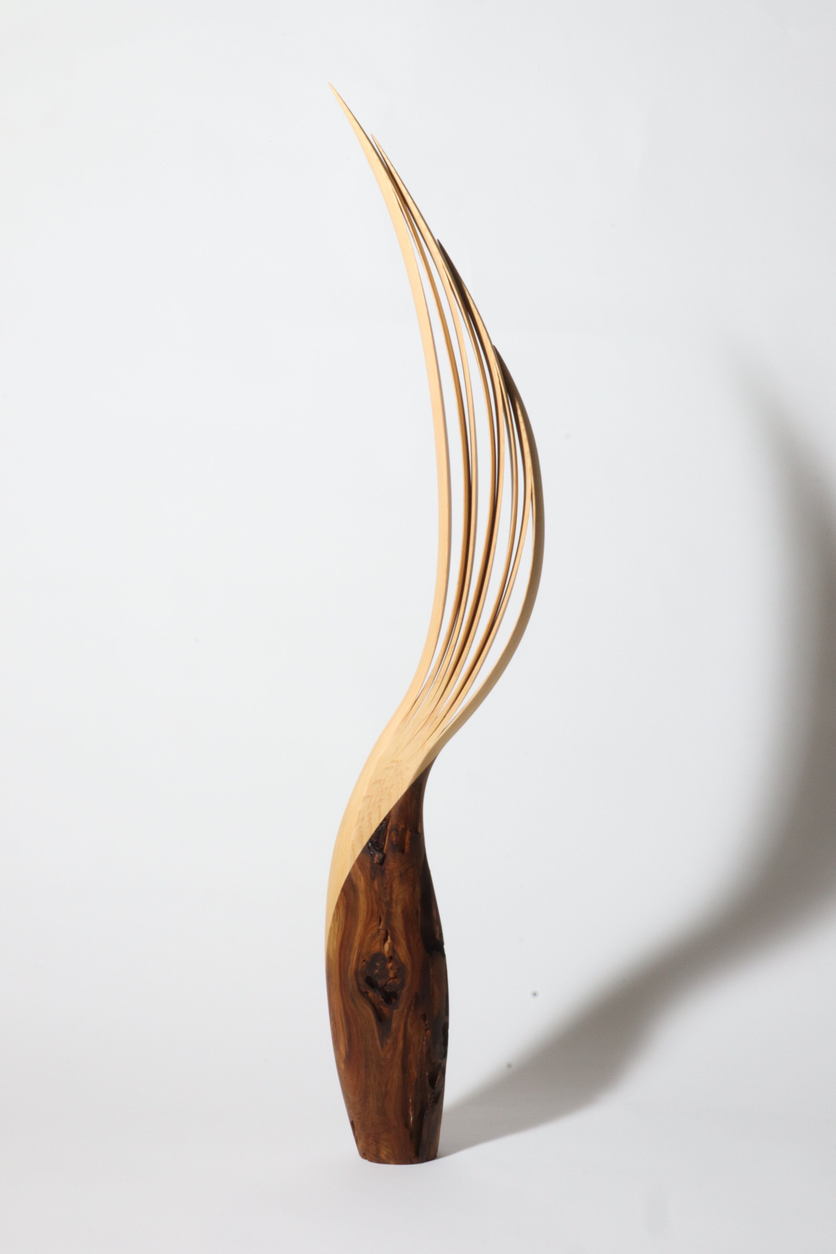 「飛翔」 | 平井 健太