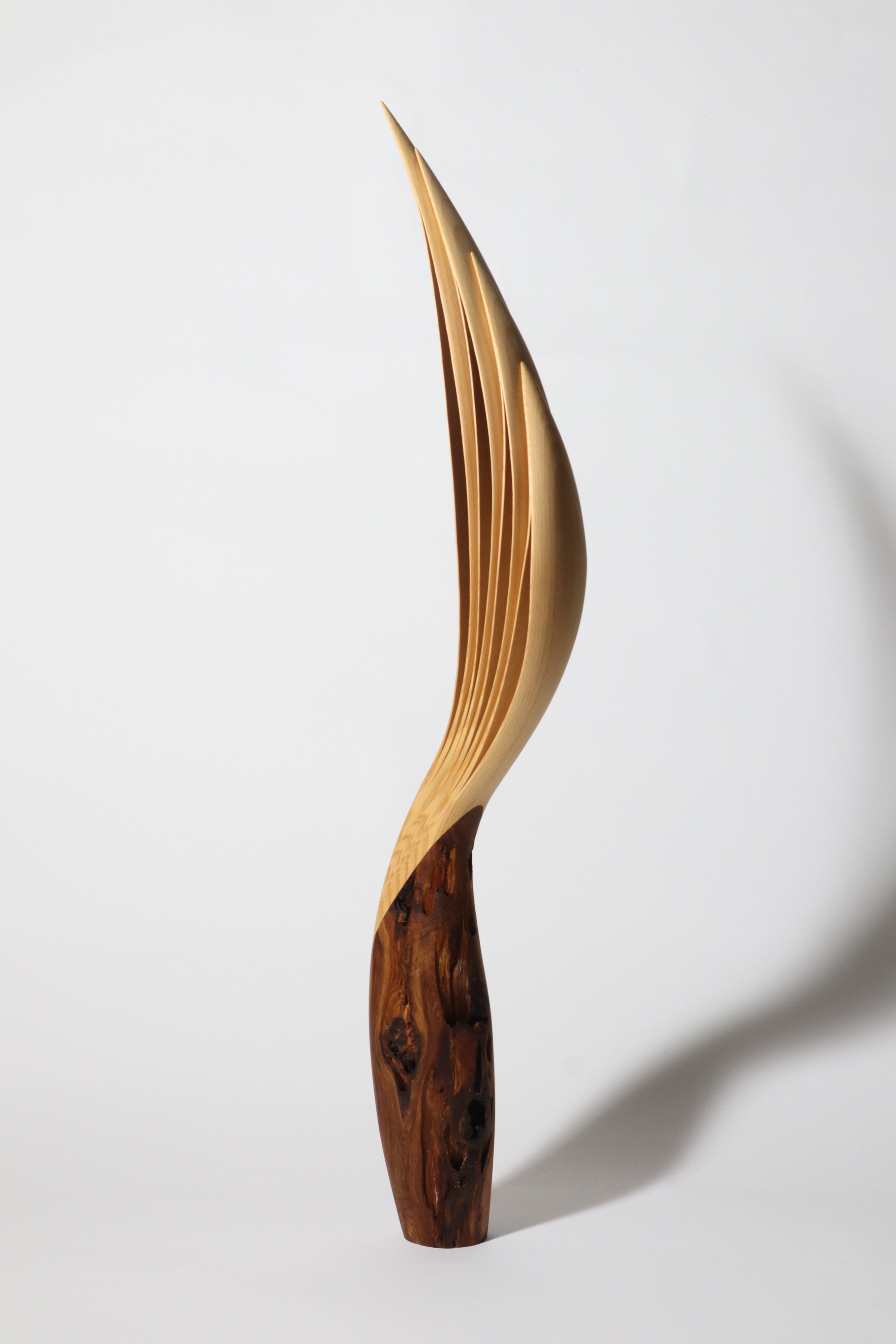 「飛翔」 | 平井 健太