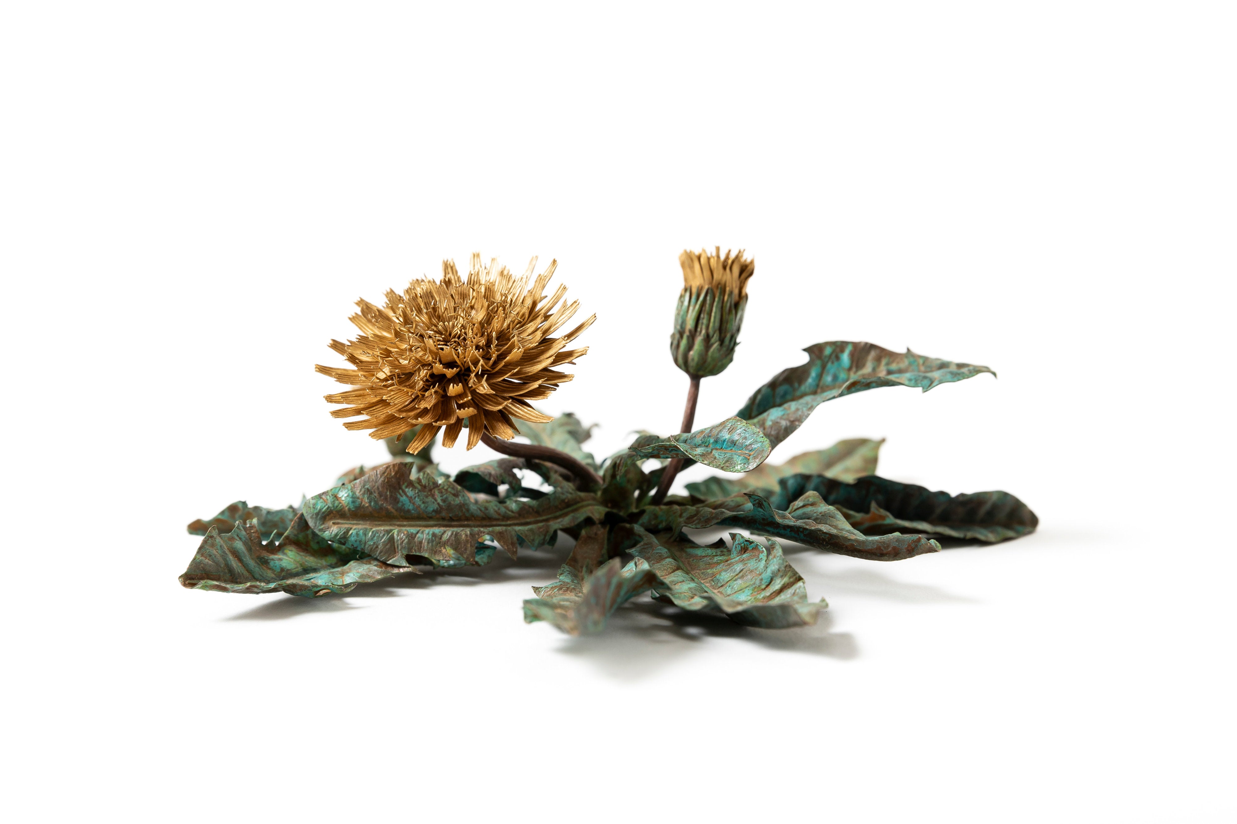 「旅の記憶 ：35.01xx° N, 135.67xx° E — Dandelion」 | 鈴木 祥太