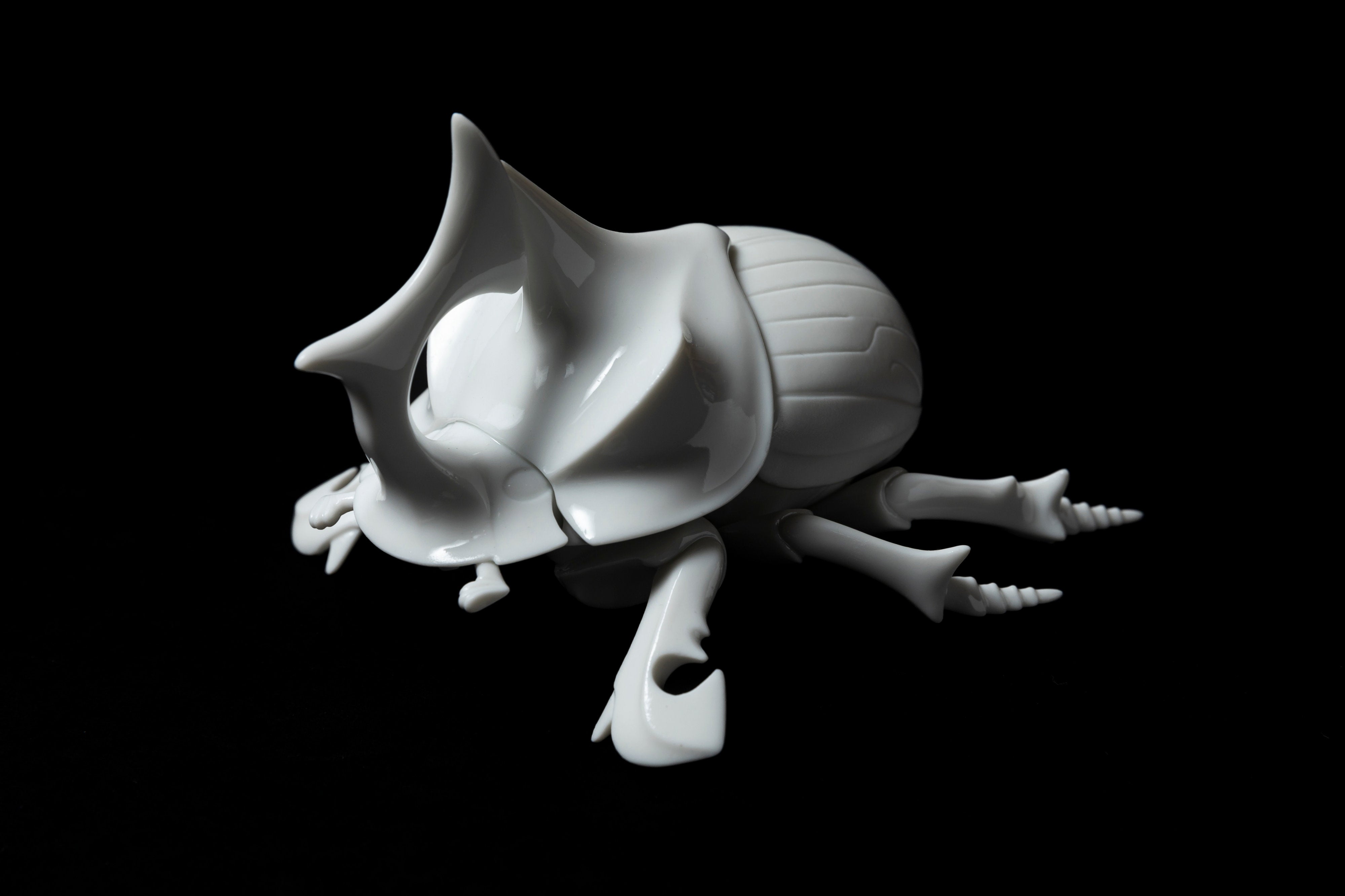 White Horned dung beetleΔ20 | 堀 貴春