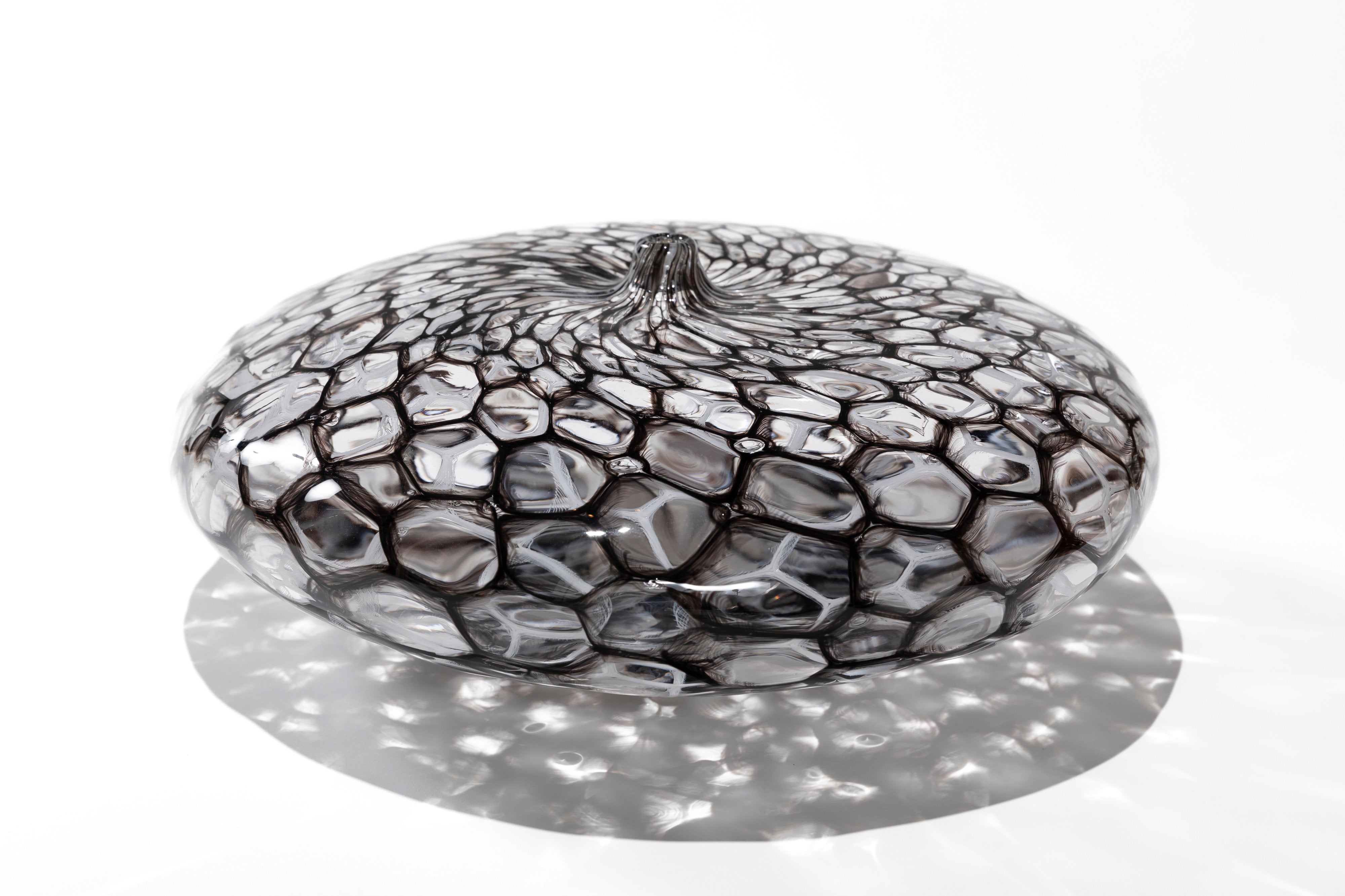 netz 墨白｜有永 浩太