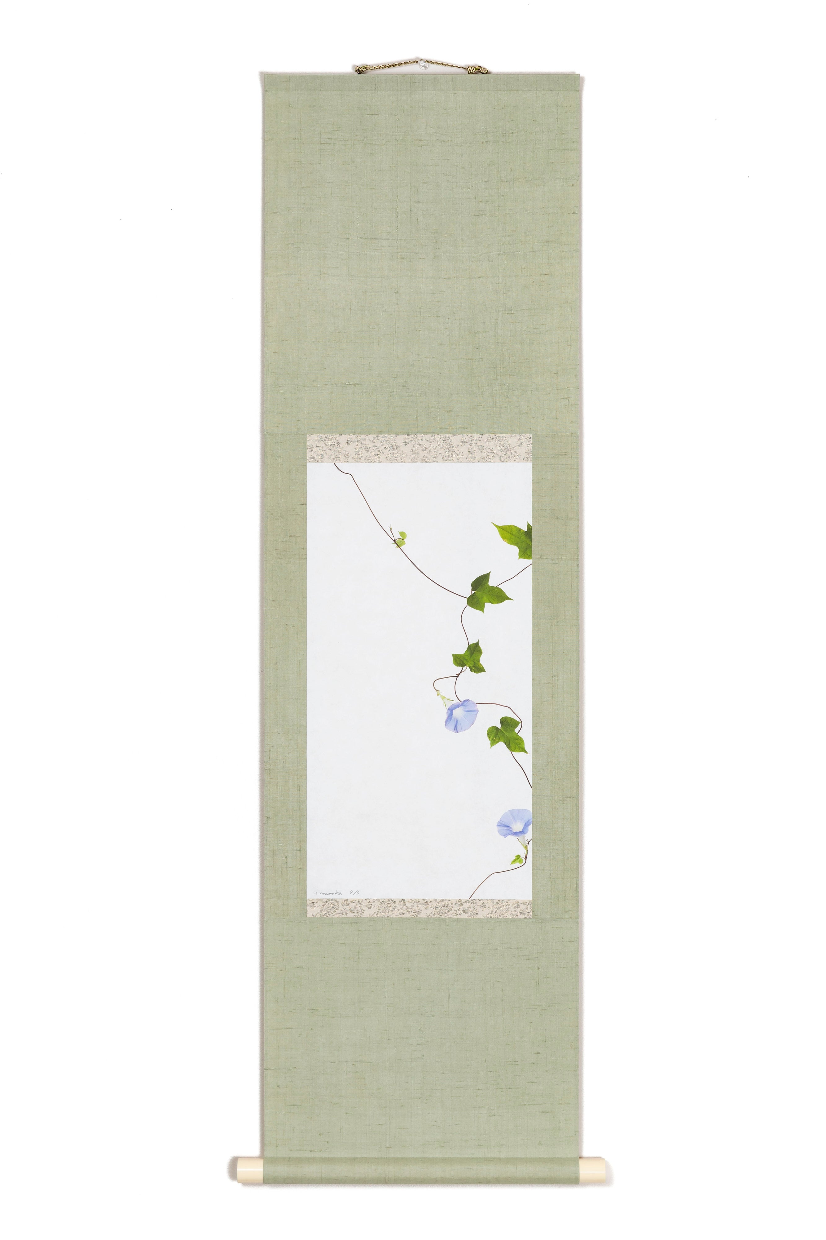 「朝顔 5」（4/5) | 鞆岡 隆史