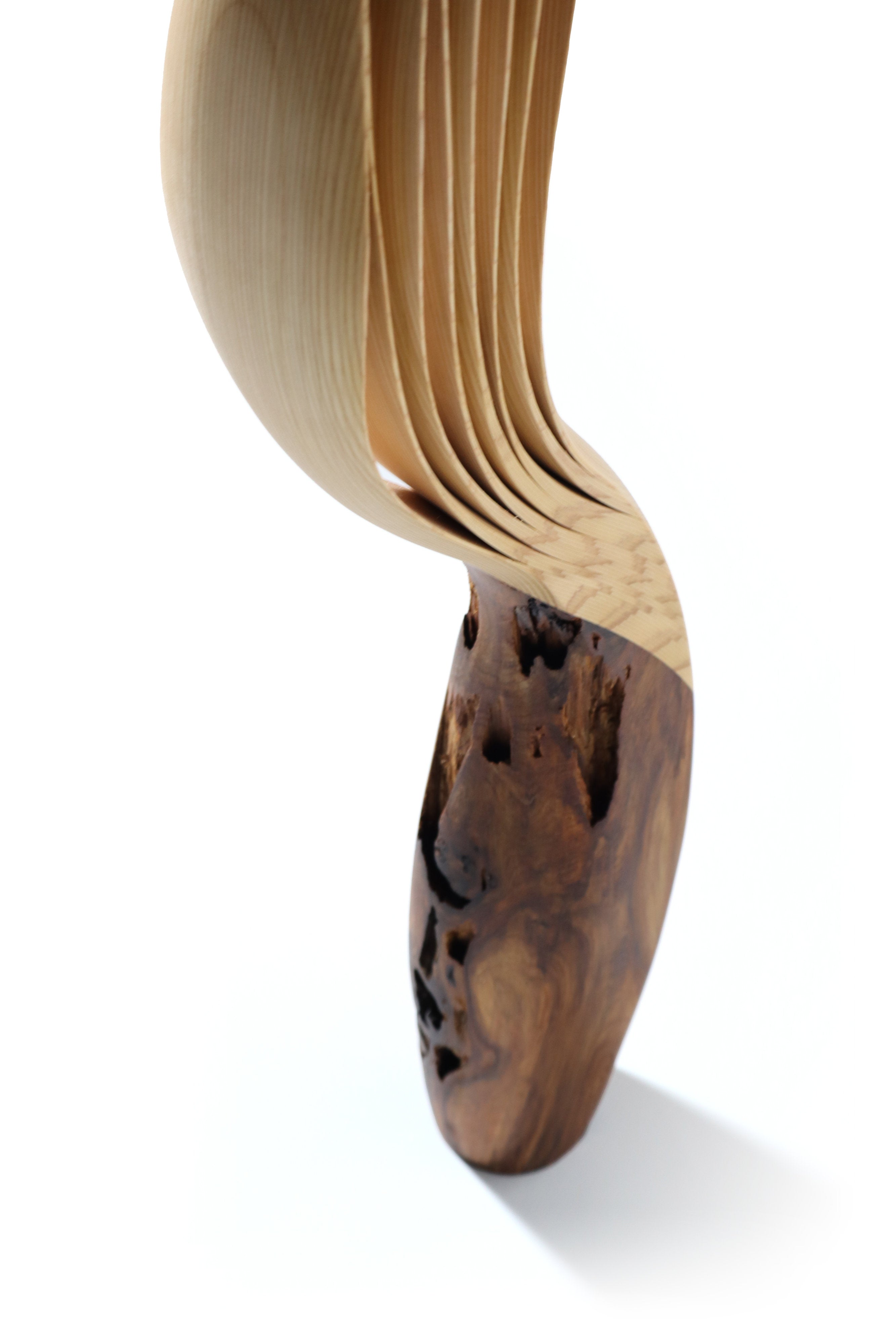 「飛翔」 | 平井 健太