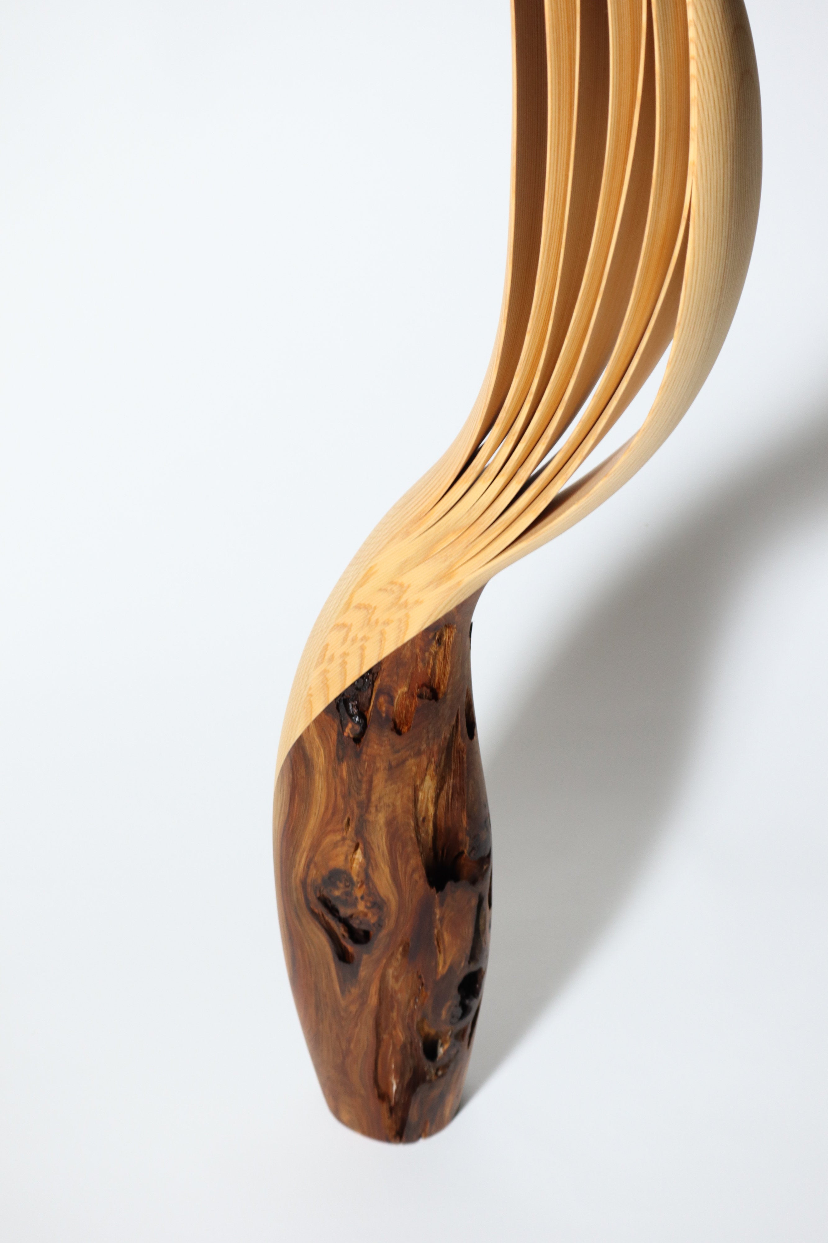 「飛翔」 | 平井 健太