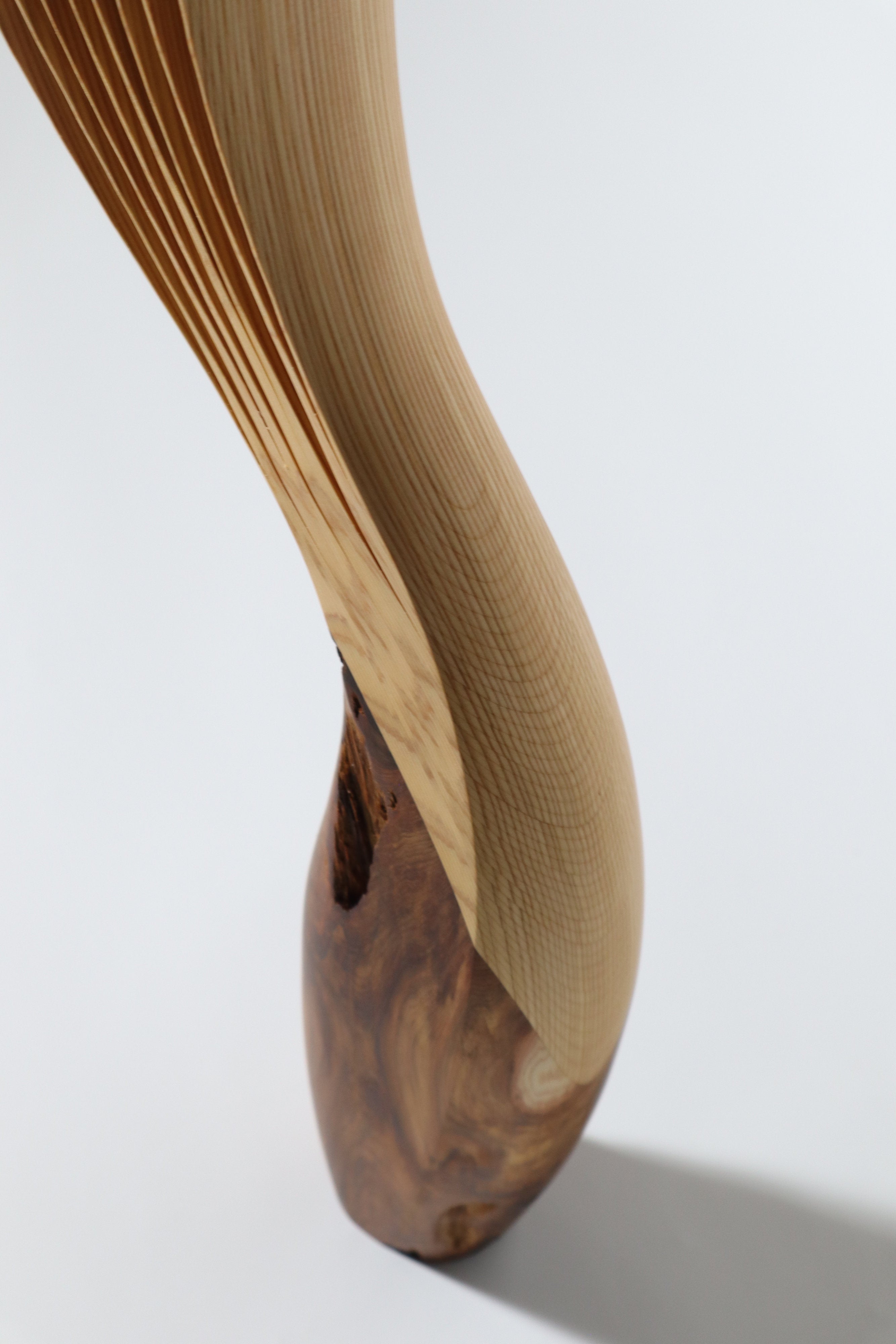 「飛翔」 | 平井 健太