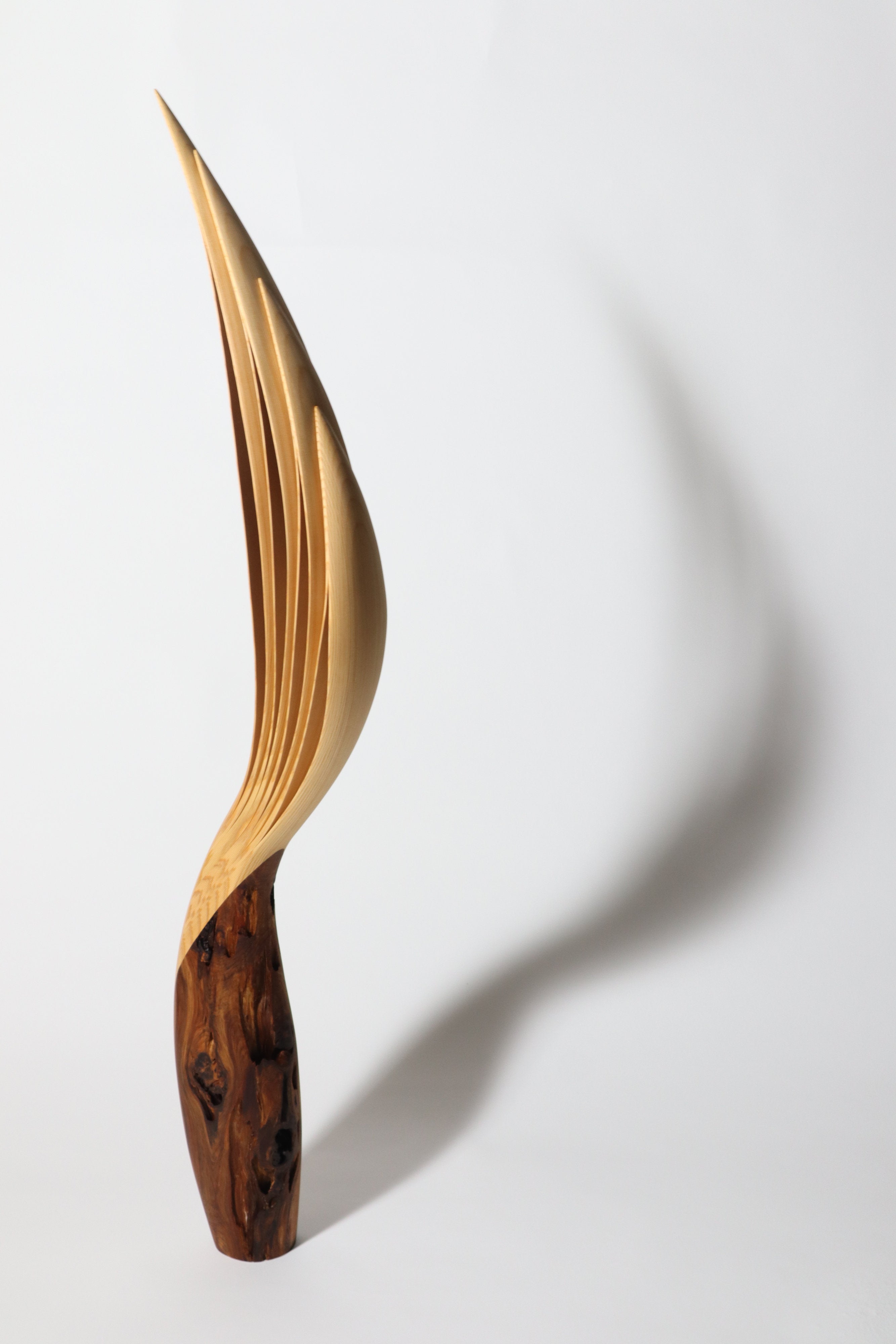 「飛翔」 | 平井 健太