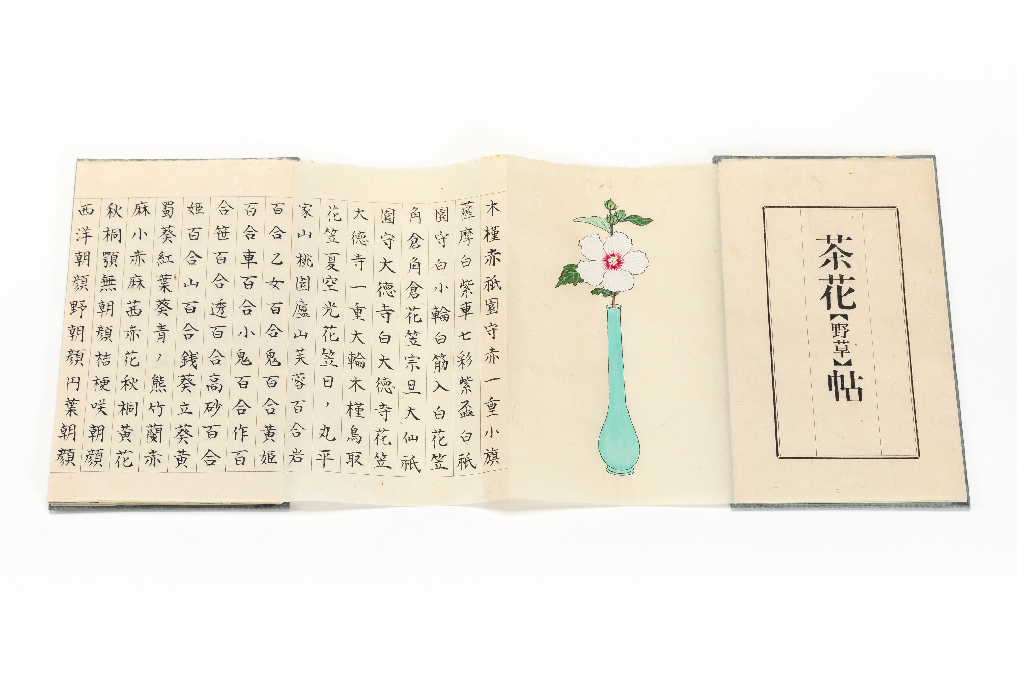 折本 「茶花帖」 | 川岸 富士男