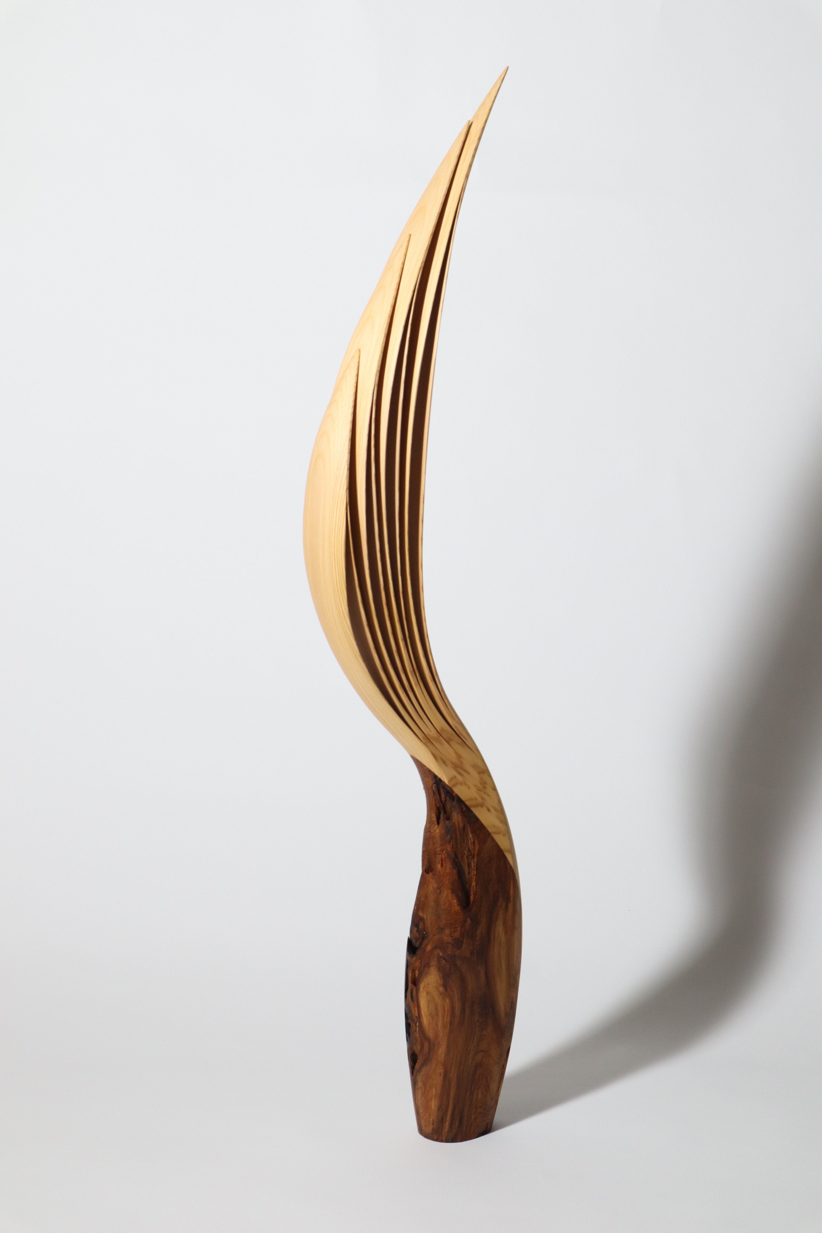 「飛翔」 | 平井 健太