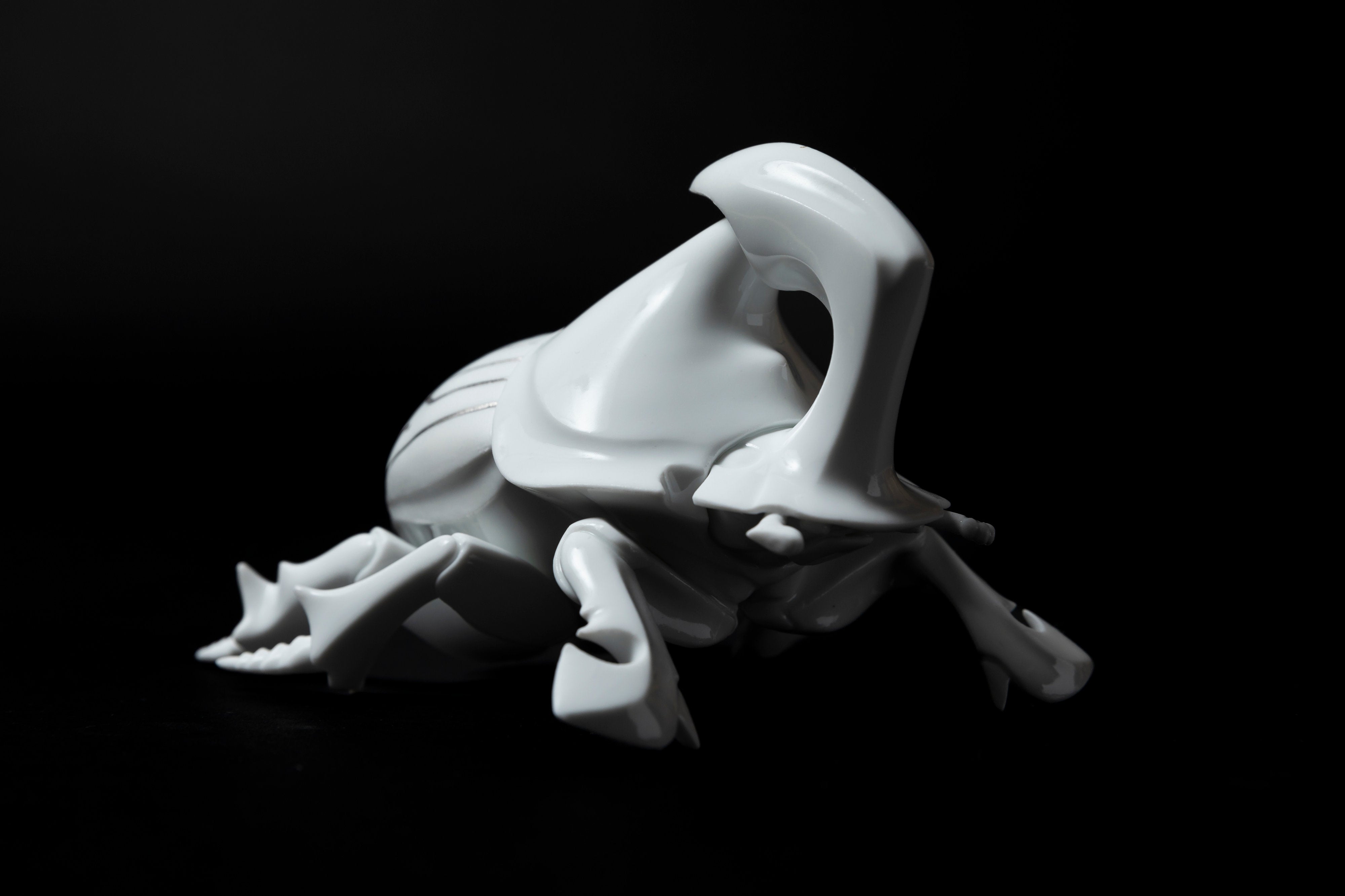 White Horned dung beetle P23 | 堀 貴春