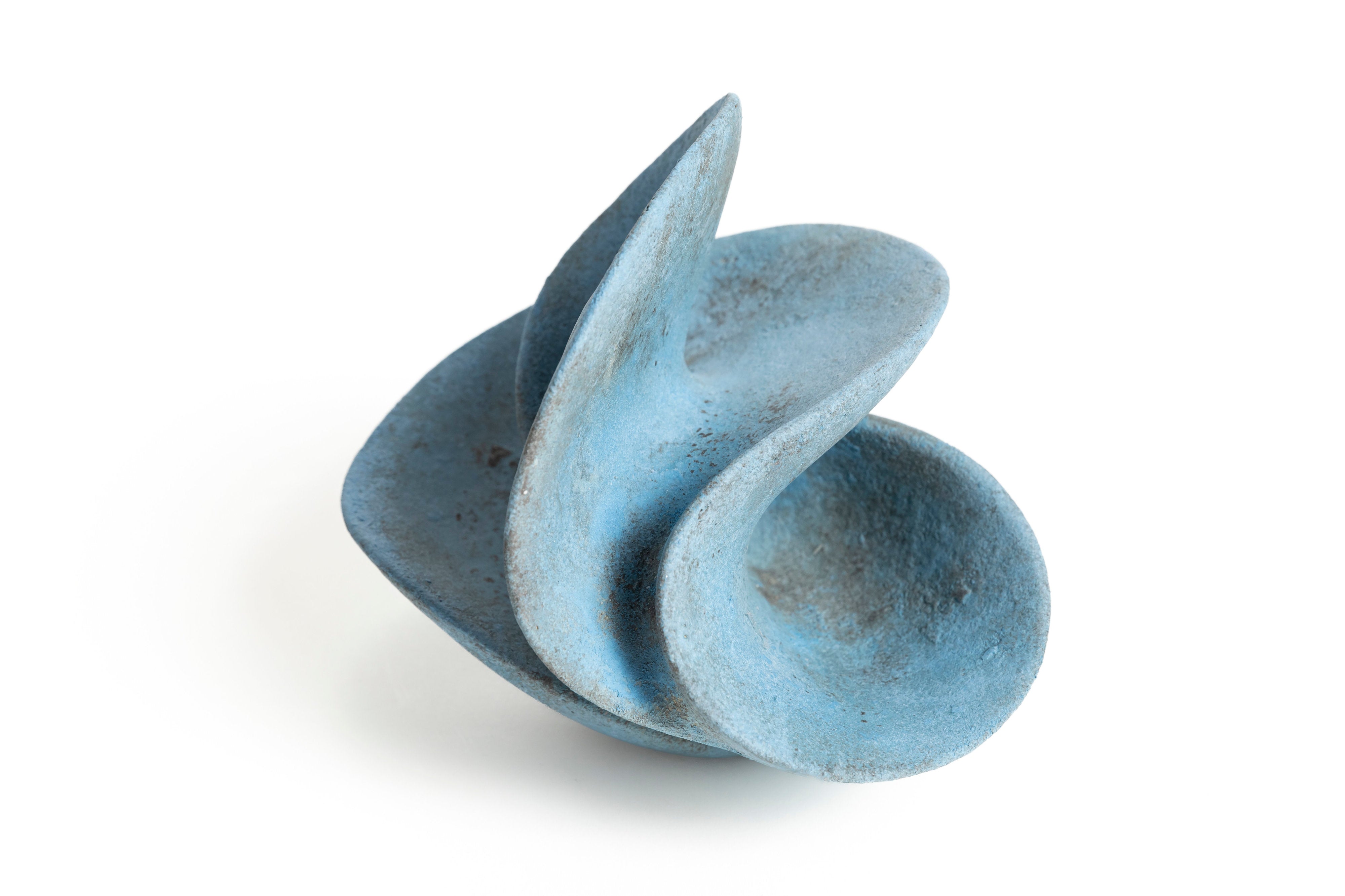 宙の種（そらのたね） | 竹村 友里