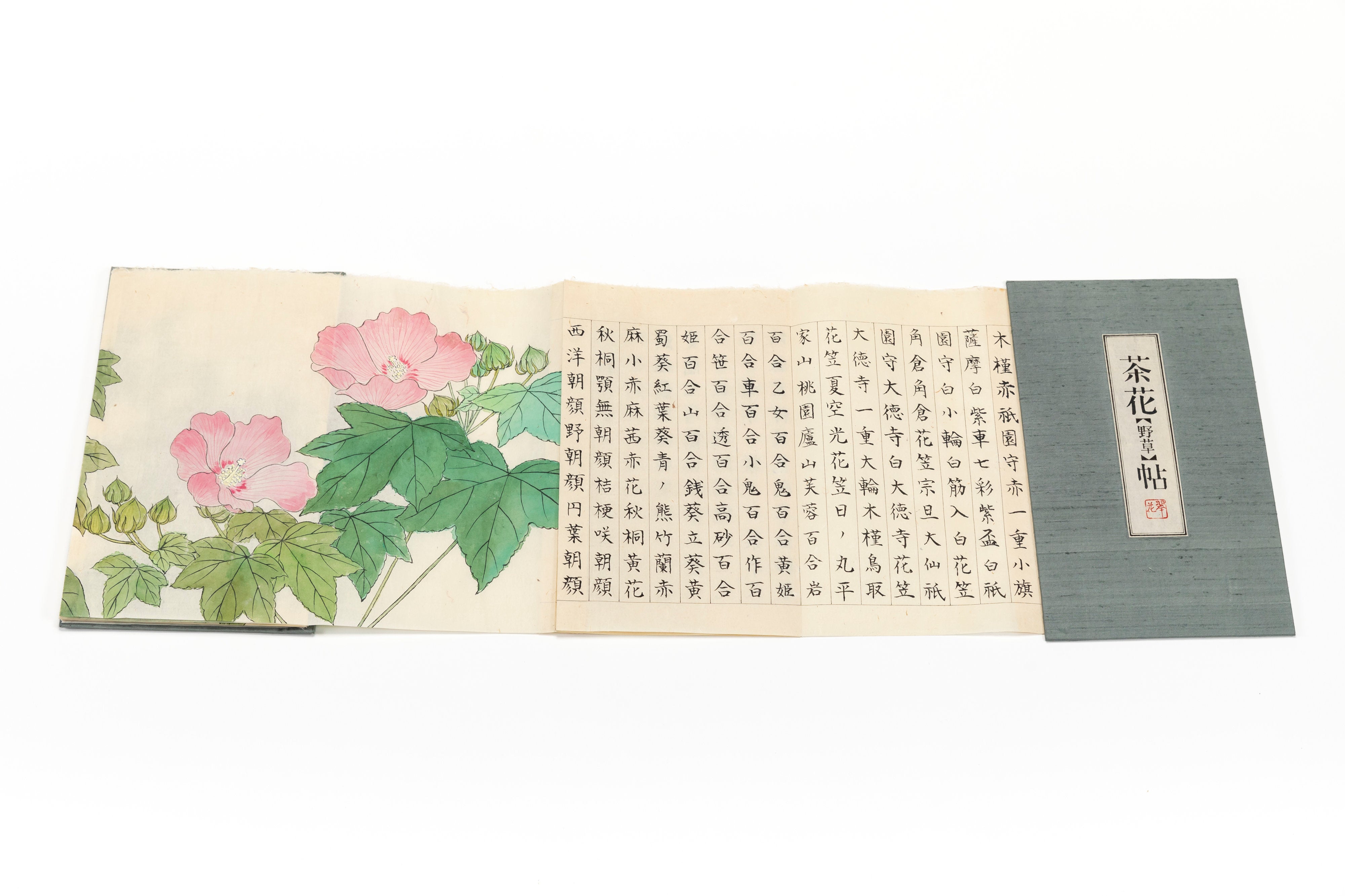 折本 「茶花帖」 | 川岸 富士男