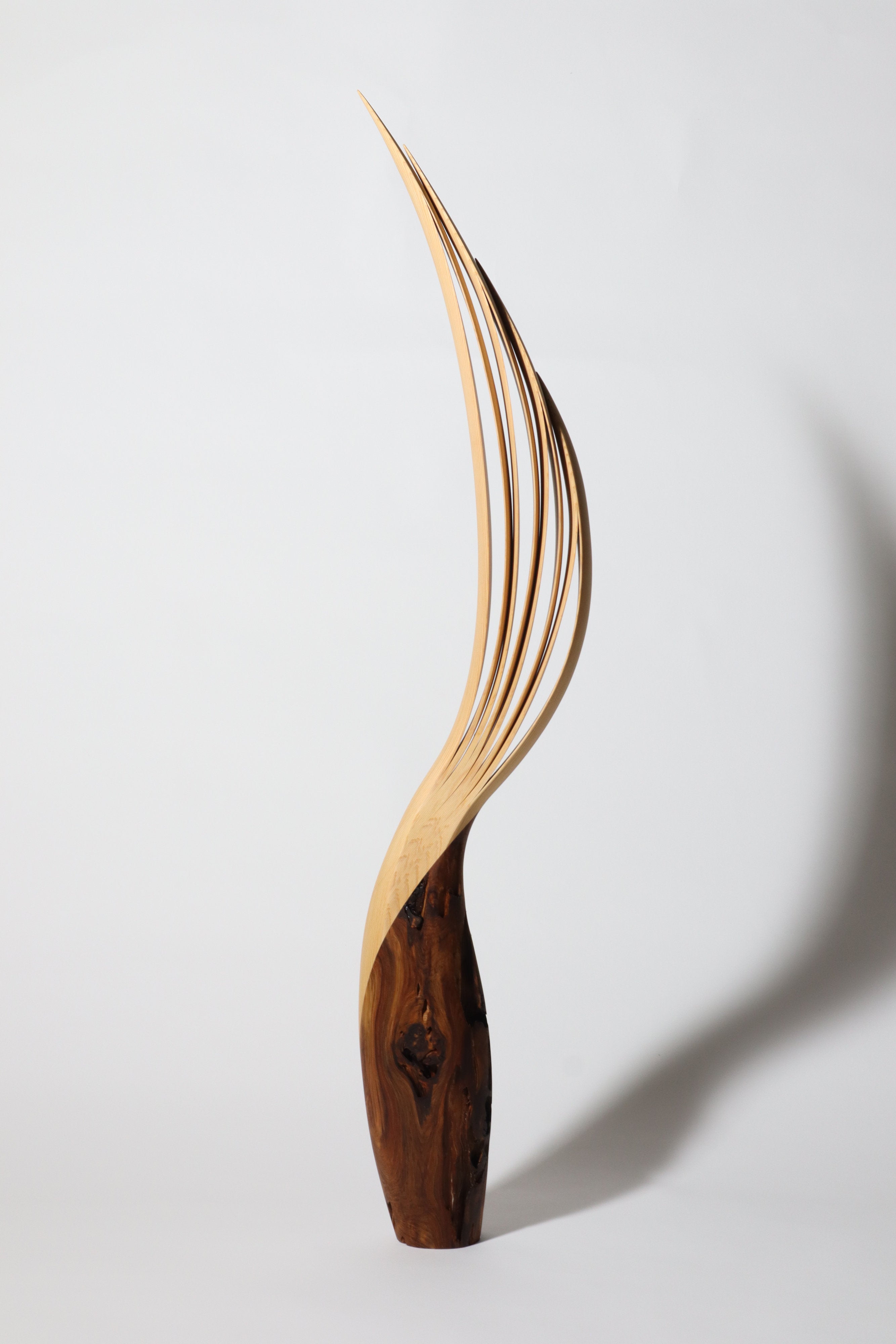 「飛翔」 | 平井 健太