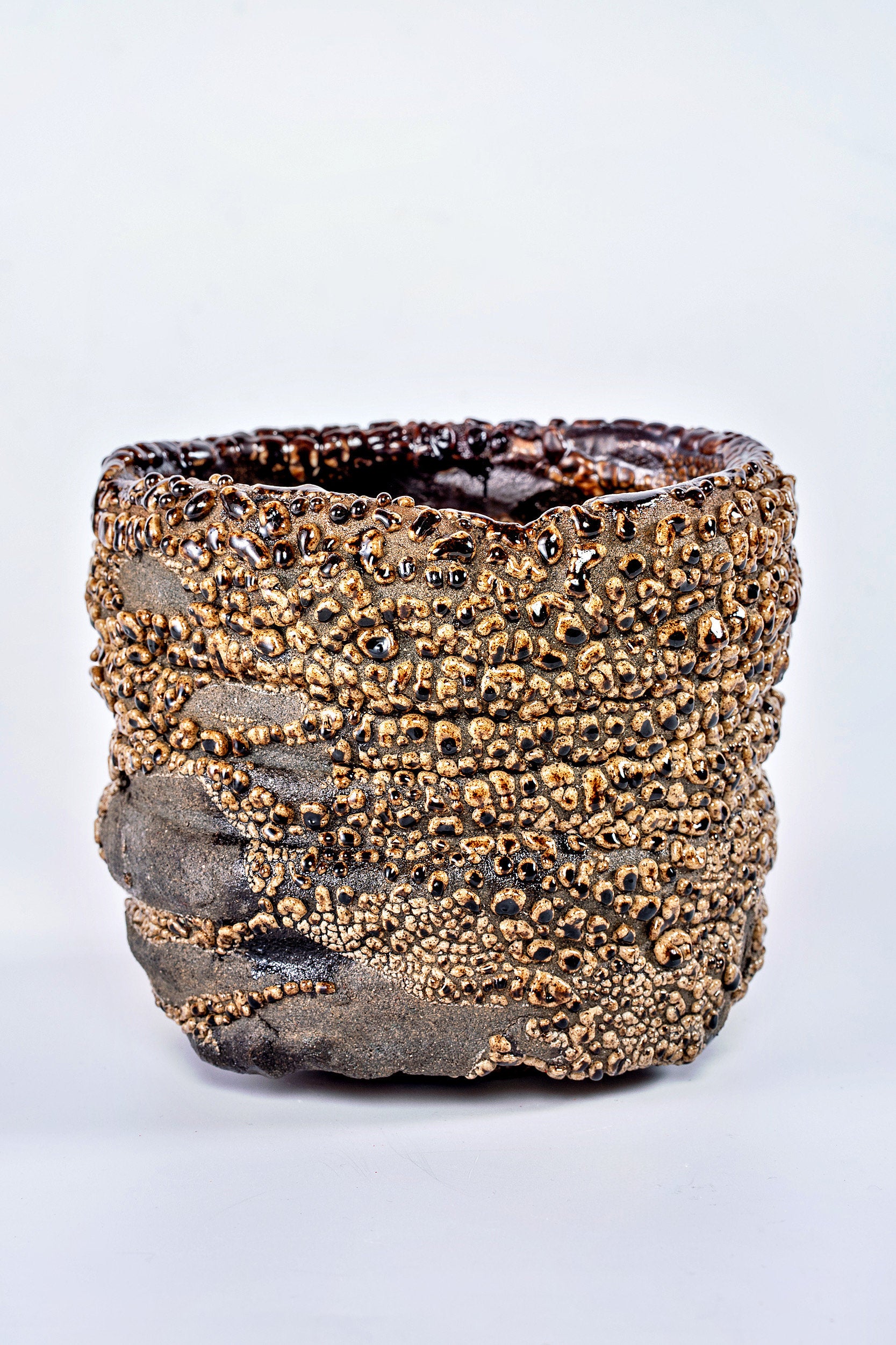 Hybrid Karatsu ＆ Foam Glaze Tea Bowl | 氏家 昂大