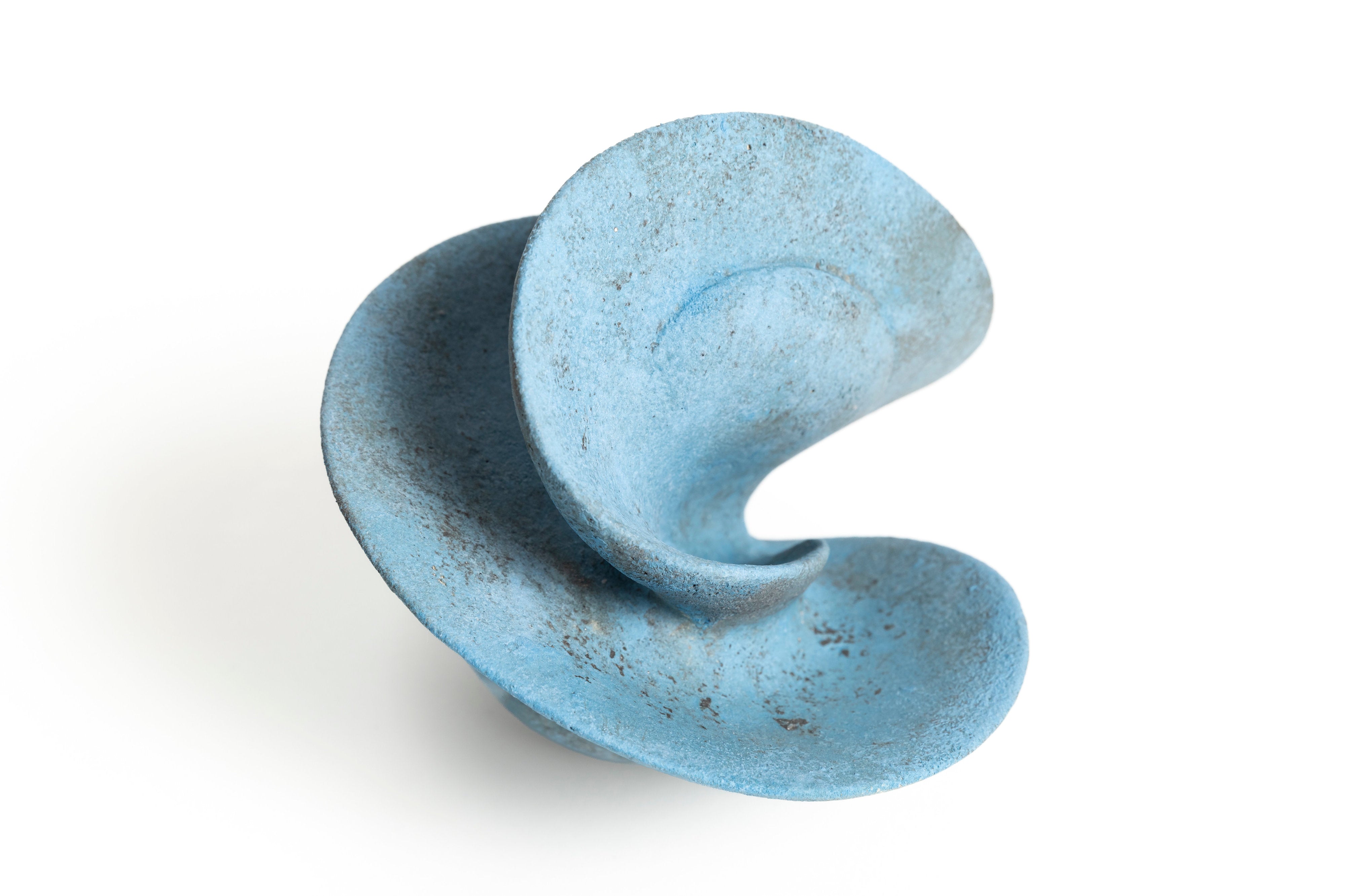 宙の種（そらのたね） | 竹村 友里