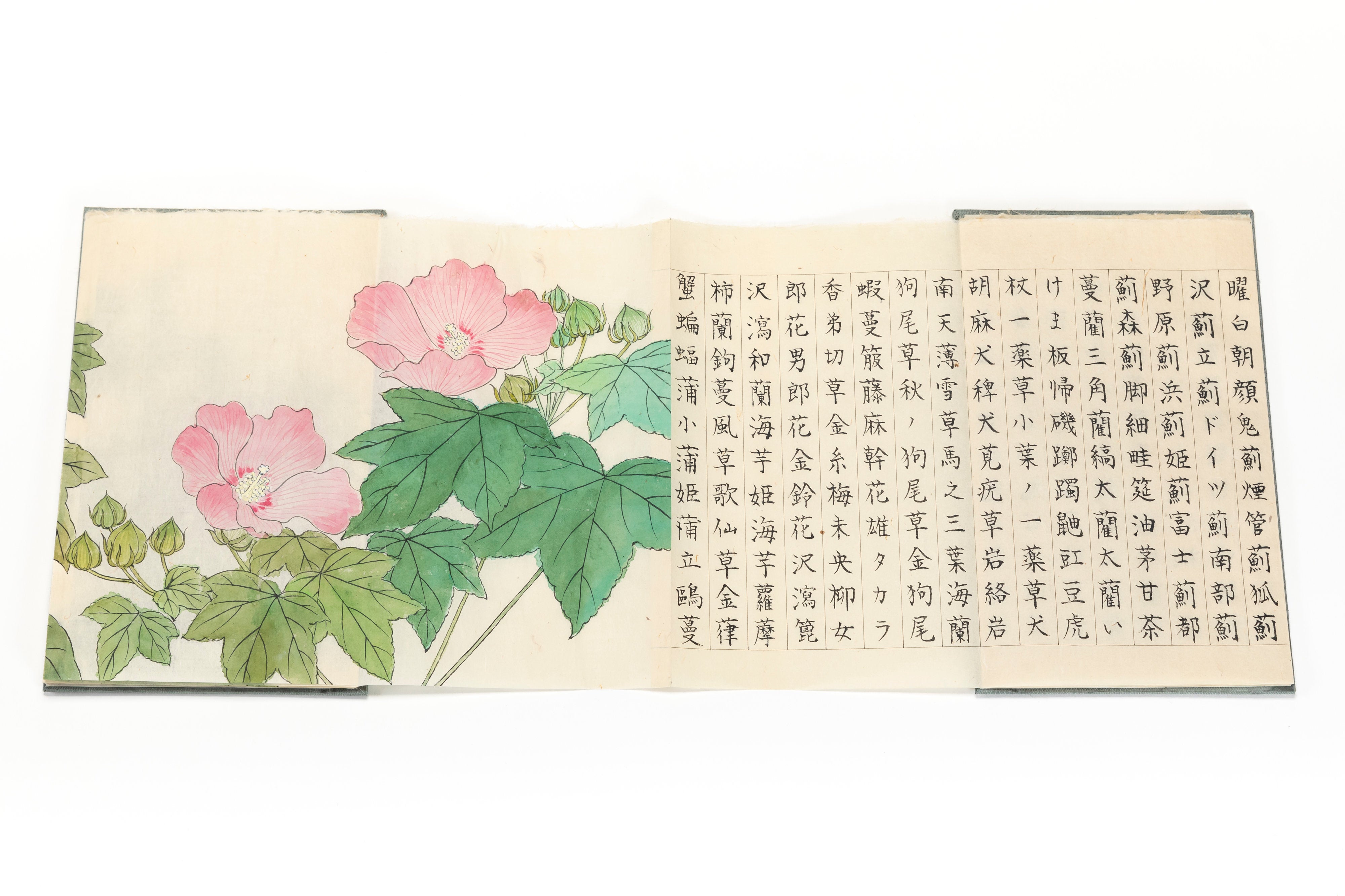 折本 「茶花帖」 | 川岸 富士男