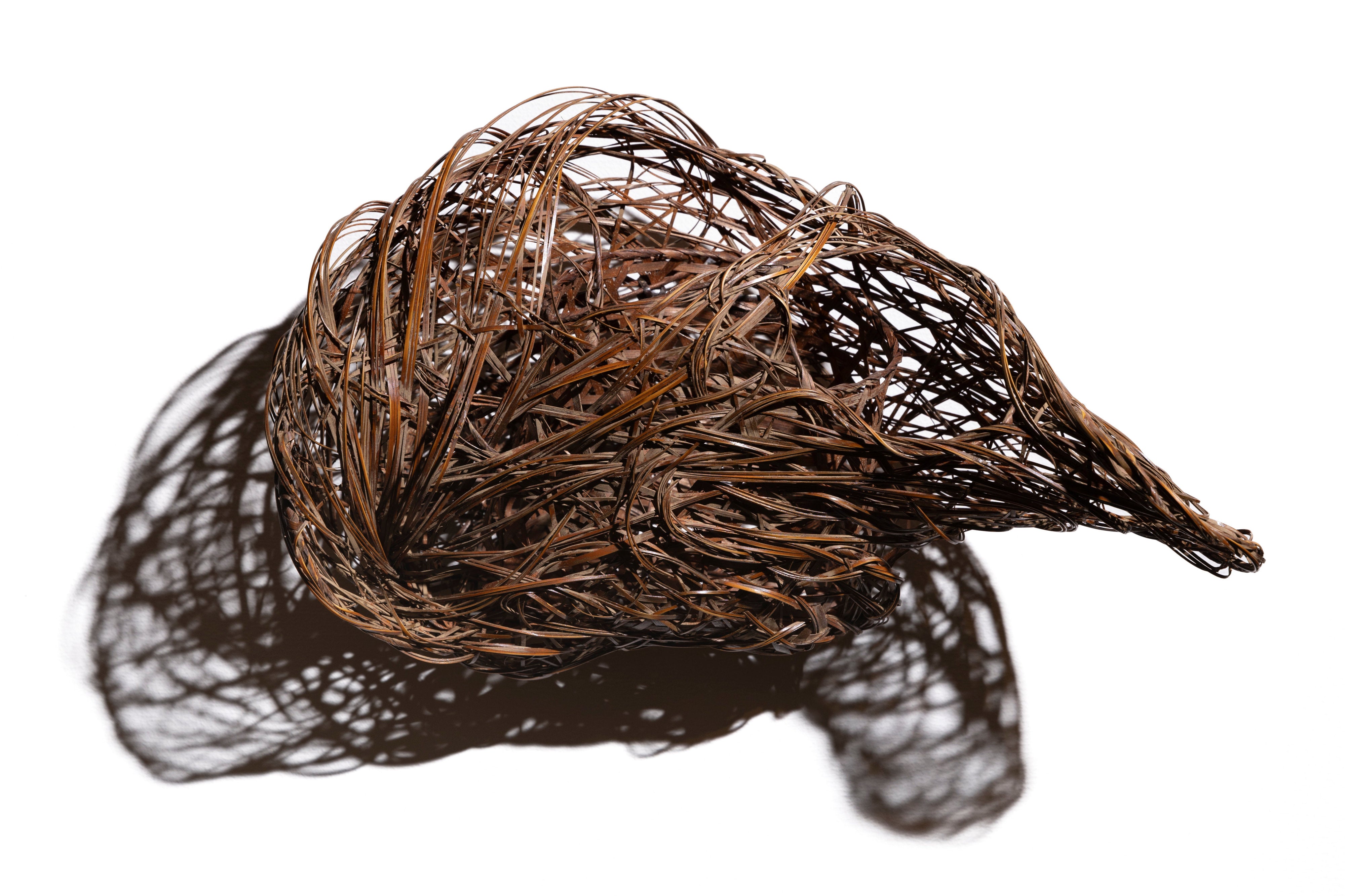 長倉健一 水のかたち | 斎藤正光 監修