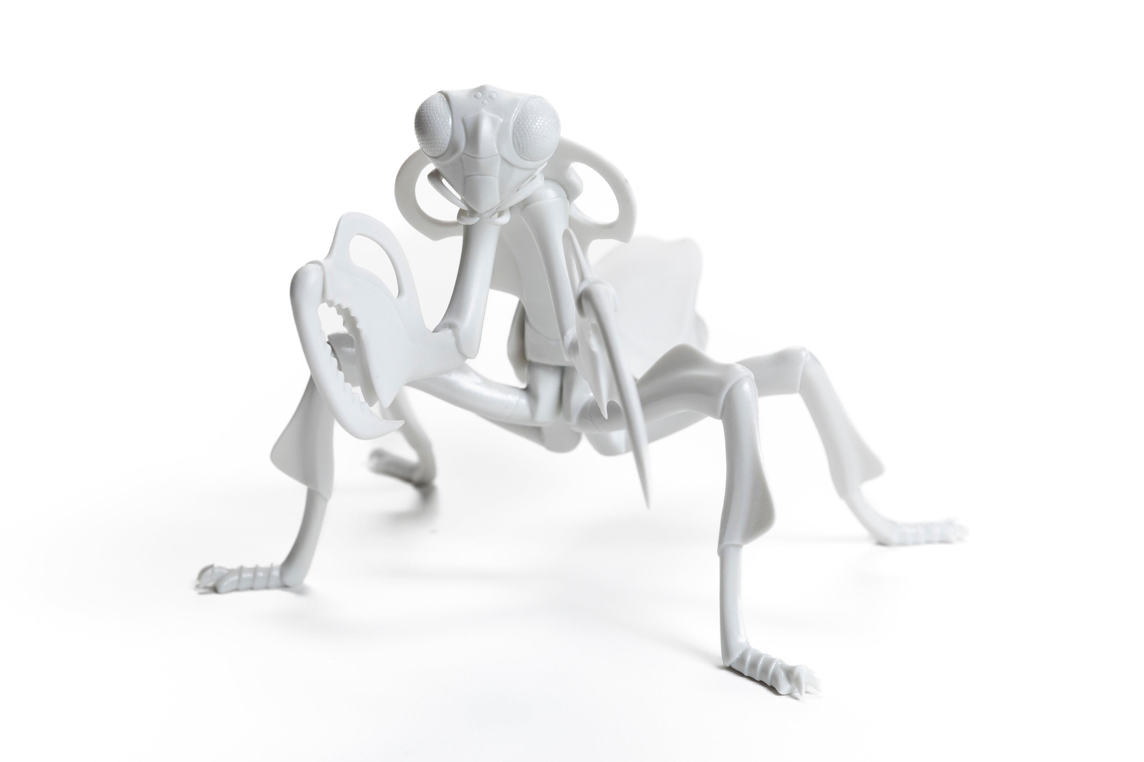White Mantis Φ24 | 堀 貴春