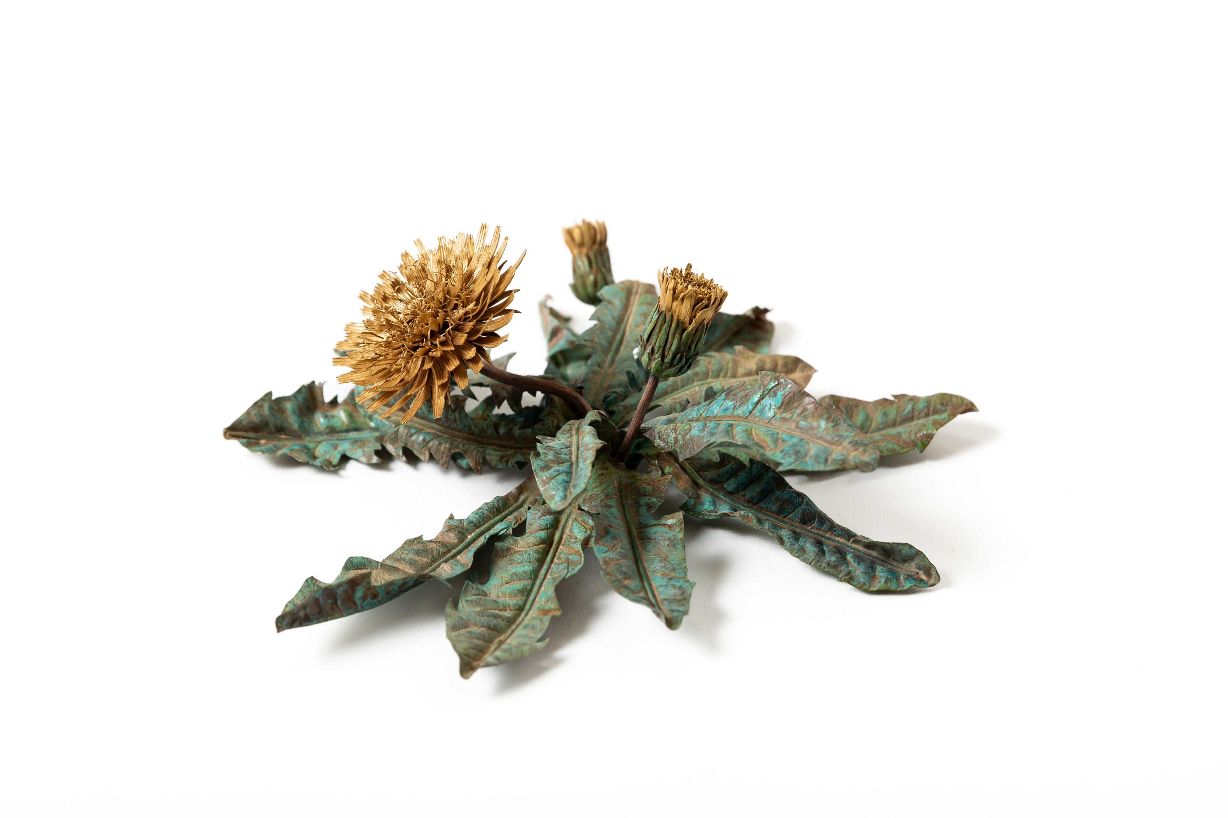 「旅の記憶 ：35.01xx° N, 135.67xx° E — Dandelion」 | 鈴木 祥太