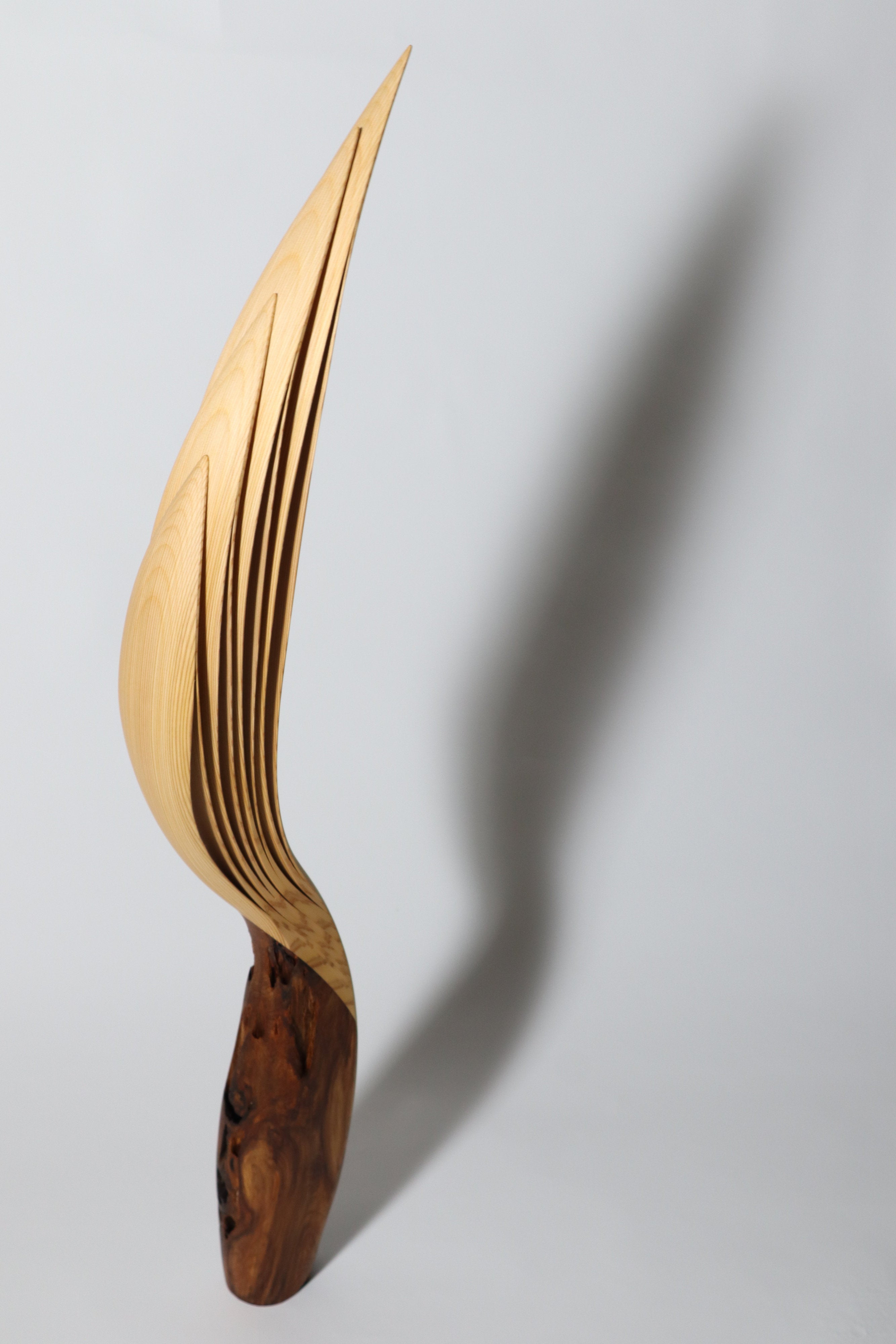 「飛翔」 | 平井 健太